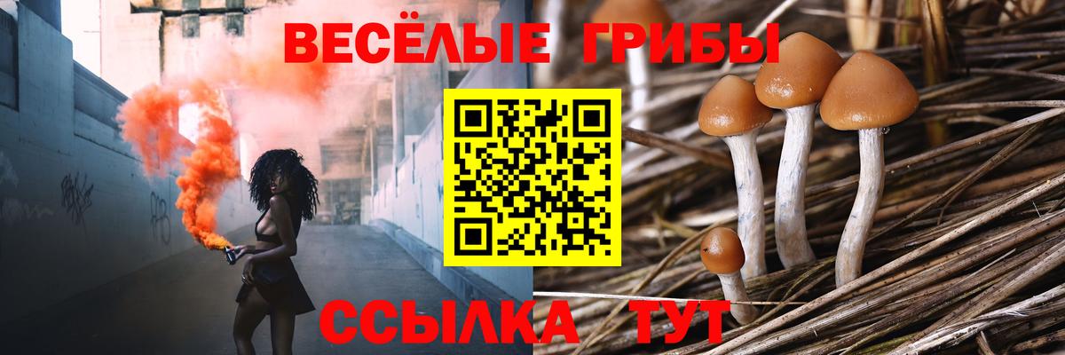 Галлюциногенные грибы GOLDEN TEACHER  Вход с VPN  Кызыл 